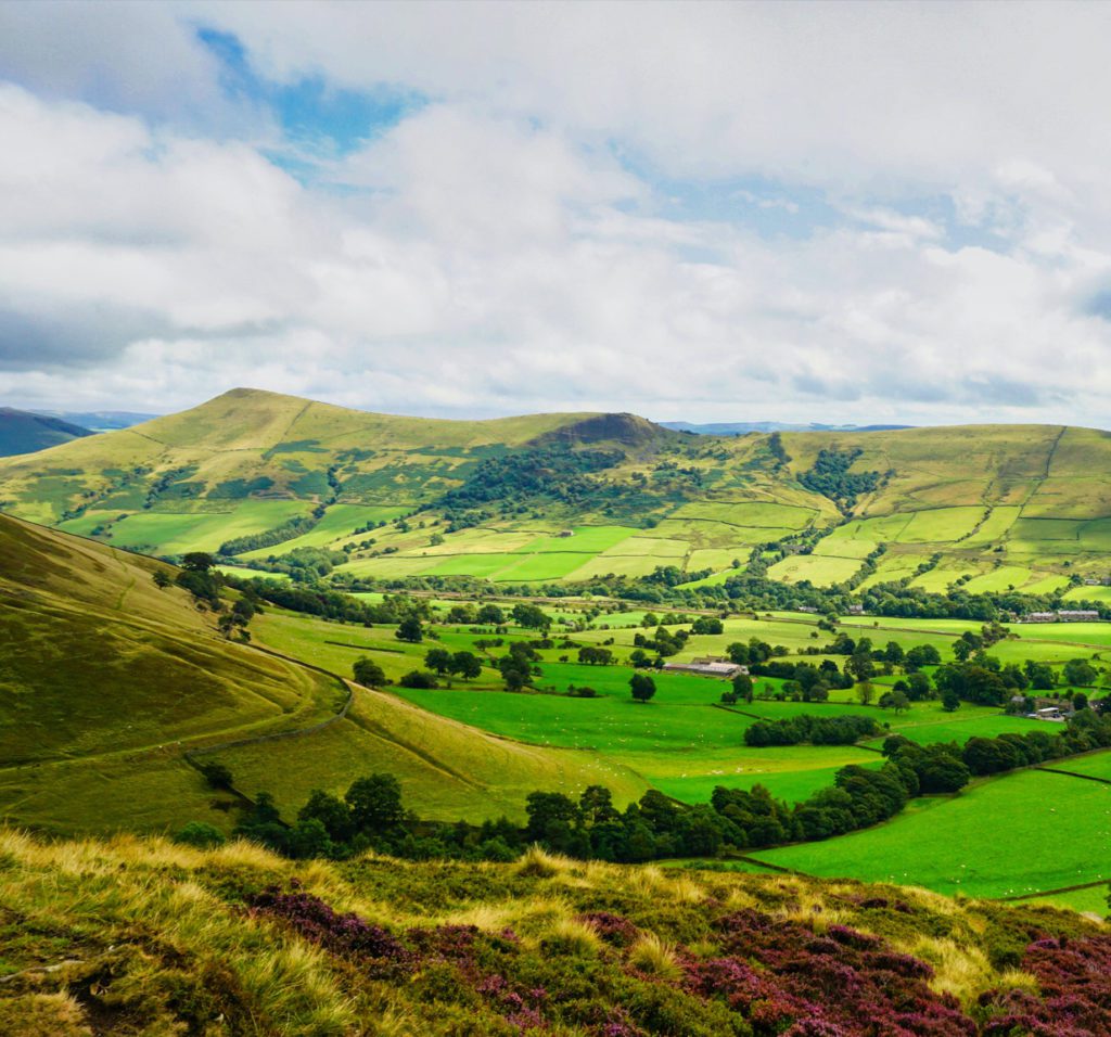 Rural Scenery picture